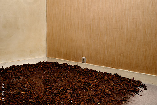 Photo © Ernesto Timor - 