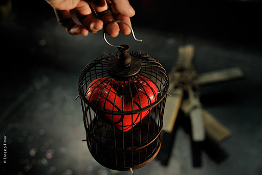 Photo © Ernesto Timor - 