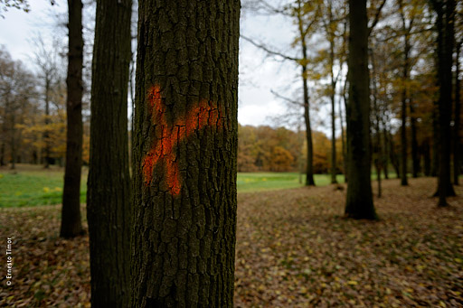 Photo © Ernesto Timor - 