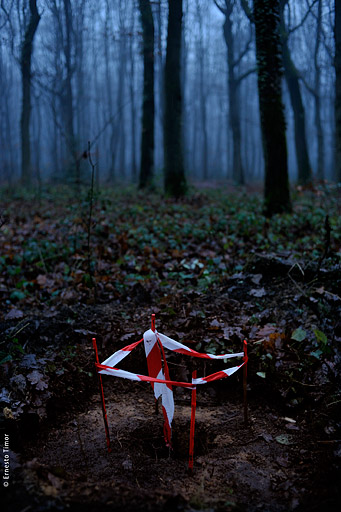 Photo © Ernesto Timor - 