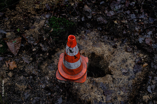cone Photo © Ernesto Timor -