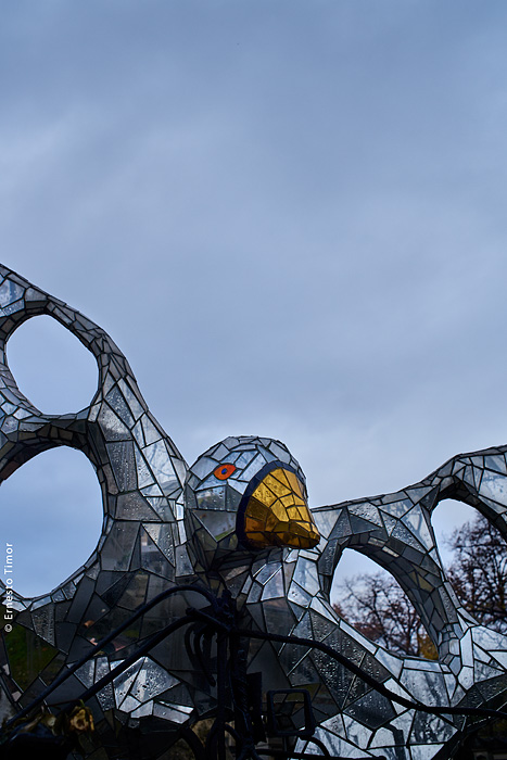 Le point de vue des oiseaux