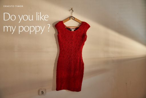 Photo © Ernesto Timor - Do you like my poppy ?