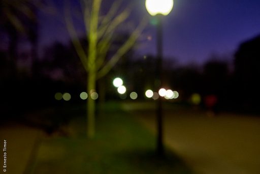 Photo © Ernesto Timor - Au parc entre chien et loup