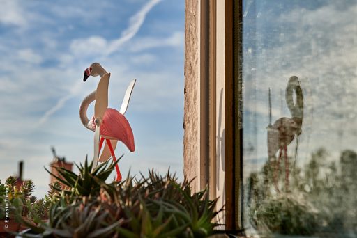 Photo © Ernesto Timor - Le flamant et son double