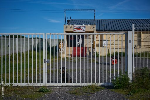 Photo © Ernesto Timor - Nemesys