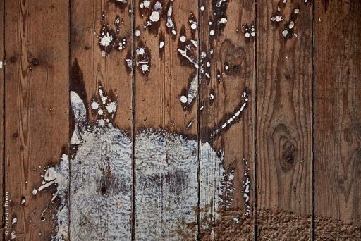 Photo © Ernesto Timor - Peinture cochon