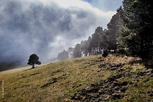 Photo © Ernesto Timor - Hauts plateaux