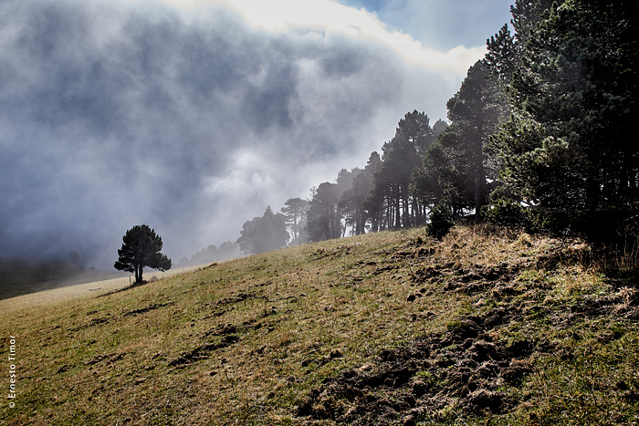 Les attractions nécessaires : aujourd’hui, tout là-haut