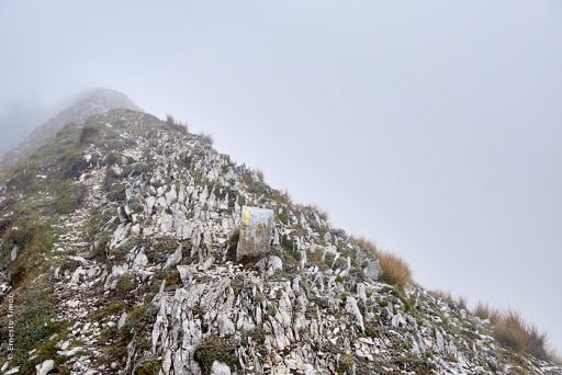 Photo © Ernesto Timor - crête