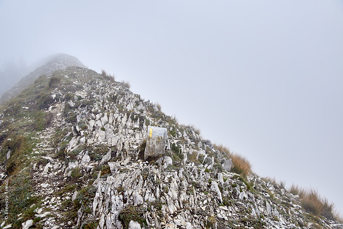 Vous avez dit blizzard ?