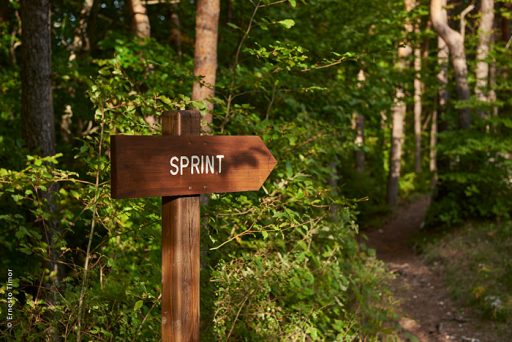 Photo © Ernesto Timor - 