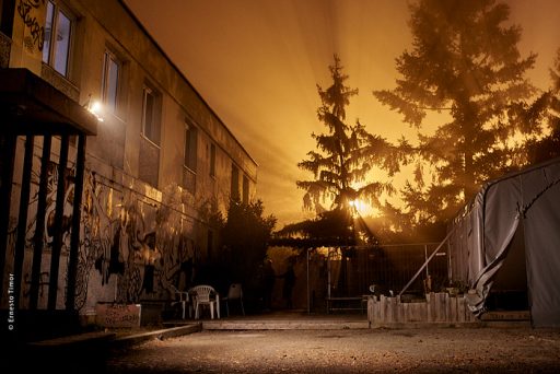 Photo © Ernesto Timor - Le sapin infernal