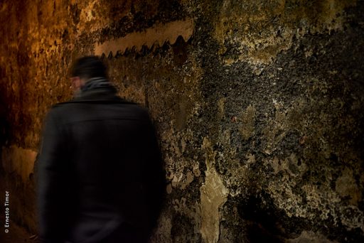 Photo © Ernesto Timor - L'allée des soupirs