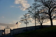 Fontaines-sur-Saône, le 20 mars 2020.