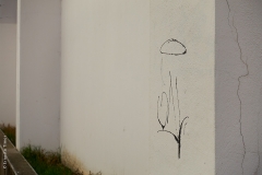 Lyon, Croix Rousse, le 25 mars 2020.