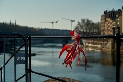 Lyon, quais de Saône, le 25 mars 2020.