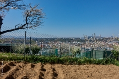 Lyon, Loyasse, le 1er avril 2020.