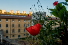 Lyon, Croix Rousse, le 15 avril 2020.