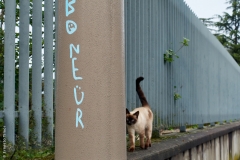 Lyon, Croix Rousse, le 3 mai 2020.