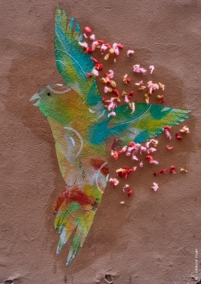 Cinq-regards-dapres-web-6