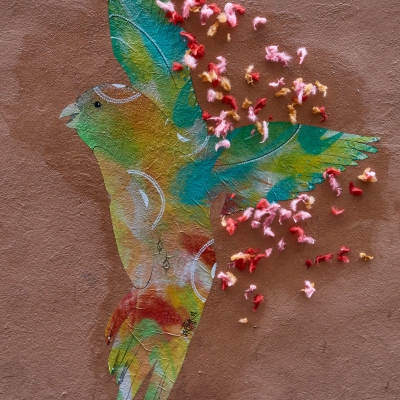 Cinq-regards-dapres-web-6