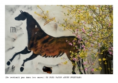 Photo © Ernesto Timor - Ne rentrait pas dans les cases