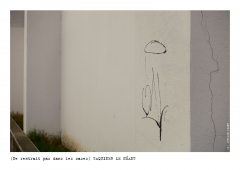 Photo © Ernesto Timor - Ne rentrait pas dans les cases