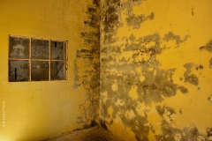 timor_ernesto_quelquechose-14-web