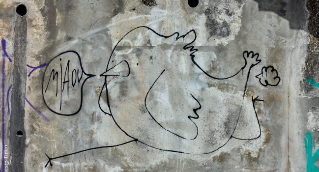 Perdu chat perché, récompense