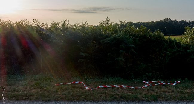 « … cette excursion dans le vivant… »