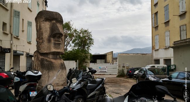 Saison Timor printemps 2023 – carte postale et news du trimestre
