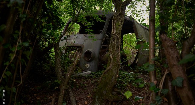 Rust never sleeps