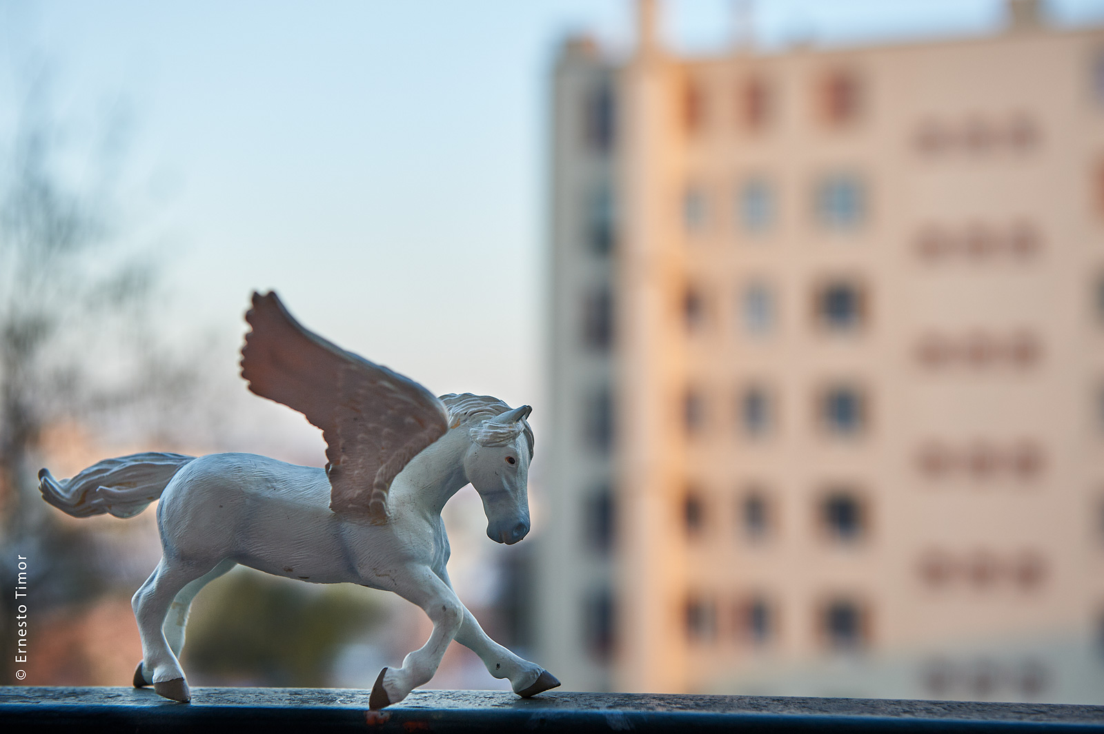 Le point de vue de ma fenêtre